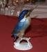 superbe-oiseaux-en-porcelaine-de-saxe Tours ( 37000 ) - Indre et Loire