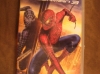 film-umd-pour-psp-spiderman-3 Château-la-Vallière ( 37330 ) - Indre et Loire