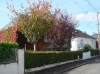 st-avertin-maison-sejour-2-chambres-sur-jardin-400-m-env- Saint-Avertin ( 37550 ) - Indre et Loire