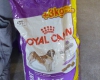 lots-croquettes-royal-canin-chien Nazelles-Négron ( 37530 ) - Indre et Loire